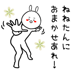 [LINEスタンプ] ねねたん専用の面白なまえスタンプ