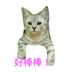 [LINEスタンプ] Bobo talk