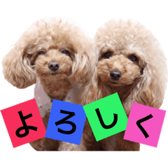 [LINEスタンプ] てぃあここ