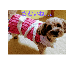 [LINEスタンプ] あんずの日常挨拶