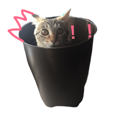 [LINEスタンプ] ももすた8