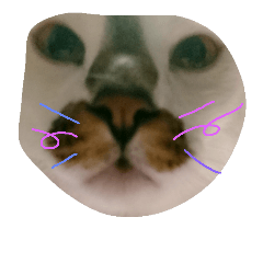 [LINEスタンプ] 飼い猫。