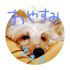 [LINEスタンプ] DOGs stamp, my family