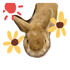 [LINEスタンプ] どうぶつえん♪