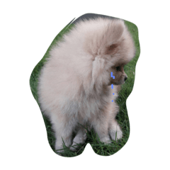 [LINEスタンプ] love dugdog