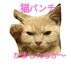 [LINEスタンプ] Japanese  crazy  family