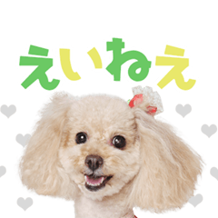 [LINEスタンプ] ぴかちゃんが幡多弁でごあいさつ