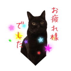 [LINEスタンプ] 黒猫くまごろう4