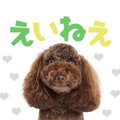 [LINEスタンプ] 風太くんが幡多弁でごあいさつ