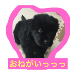 [LINEスタンプ] i am kai..