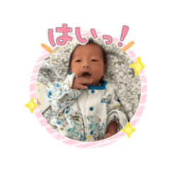 [LINEスタンプ] たいがはると