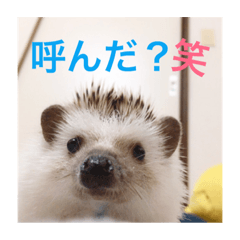 [LINEスタンプ] TIKUTIKU