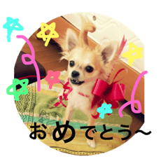 [LINEスタンプ] りんるんれん