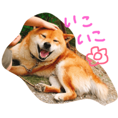 [LINEスタンプ] choosuke