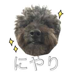 [LINEスタンプ] 私の名前はプー太です2