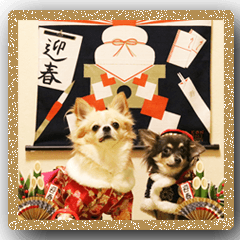 [LINEスタンプ] Chihuahua's Chobi and Vicke A New Yearの画像（メイン）