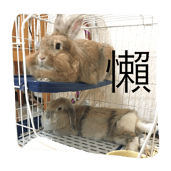 [LINEスタンプ] O______O