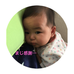 [LINEスタンプ] 小夏 半年
