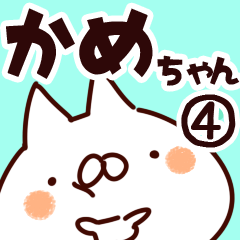 [LINEスタンプ] 【かめちゃん】専用4