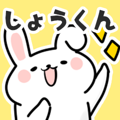 [LINEスタンプ] しょうくんに送るスタンプ【スキ】の画像（メイン）