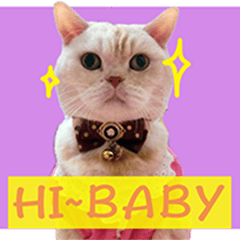 [LINEスタンプ] cat enthusiast life3