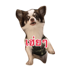 [LINEスタンプ] Ha-Ji