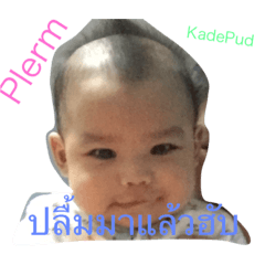 [LINEスタンプ] Plerm@Kade