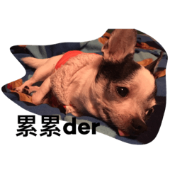 [LINEスタンプ] puggi