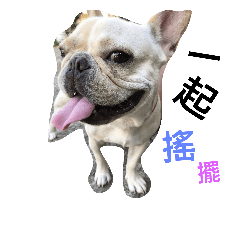 [LINEスタンプ] mawan so cute