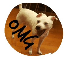 [LINEスタンプ] Doggy Dohtzai