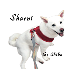 [LINEスタンプ] Sharni the Shiba