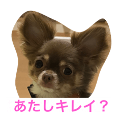[LINEスタンプ] princess Mocha