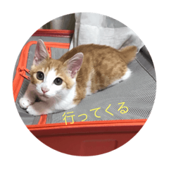 [LINEスタンプ] そらりんちょ