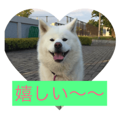[LINEスタンプ] hana part2
