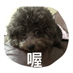 [LINEスタンプ] Tomoyo's DOGS