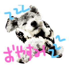 [LINEスタンプ] ふーたん0524