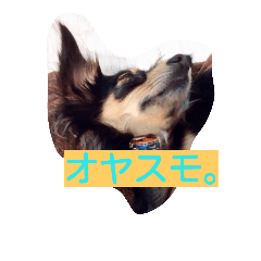 [LINEスタンプ] まめ きち