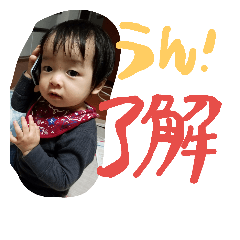 [LINEスタンプ] うちのたいせいくん