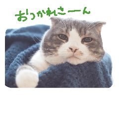 [LINEスタンプ] kotacafe