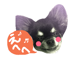 [LINEスタンプ] 毎日コタロー2