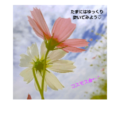 [LINEスタンプ] 大好きなあの子に送る言葉♡