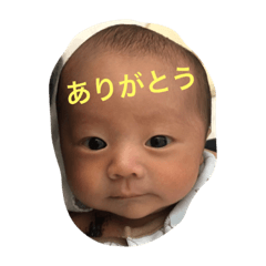 [LINEスタンプ] まごふぉと