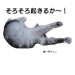 [LINEスタンプ] ネコ様ネコさまツルとカメ