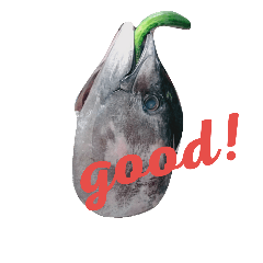 [LINEスタンプ] マグロのお頭キュウリ添え