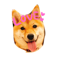 [LINEスタンプ] 豆柴ゆず