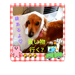 [LINEスタンプ] クルミとチャビ