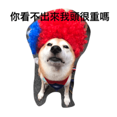 [LINEスタンプ] shiba like eat