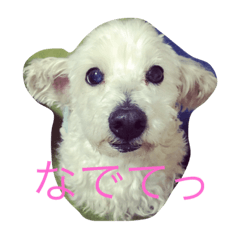 [LINEスタンプ] くるみの日常生活