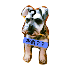 [LINEスタンプ] カール スタンプ 2