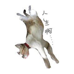 [LINEスタンプ] strange ha ha ha